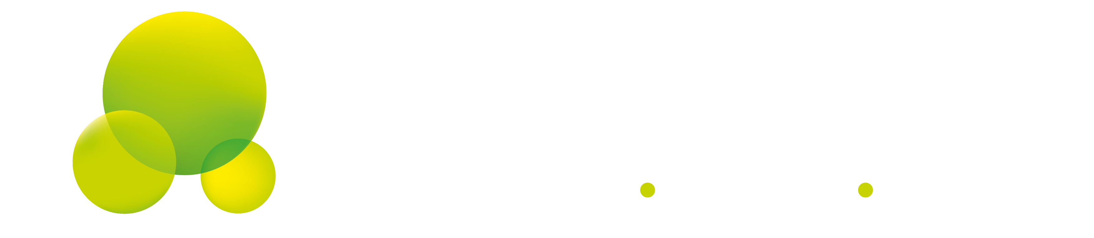 www.sambaibastands.com.br